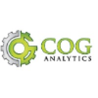 COG Analytics LLC